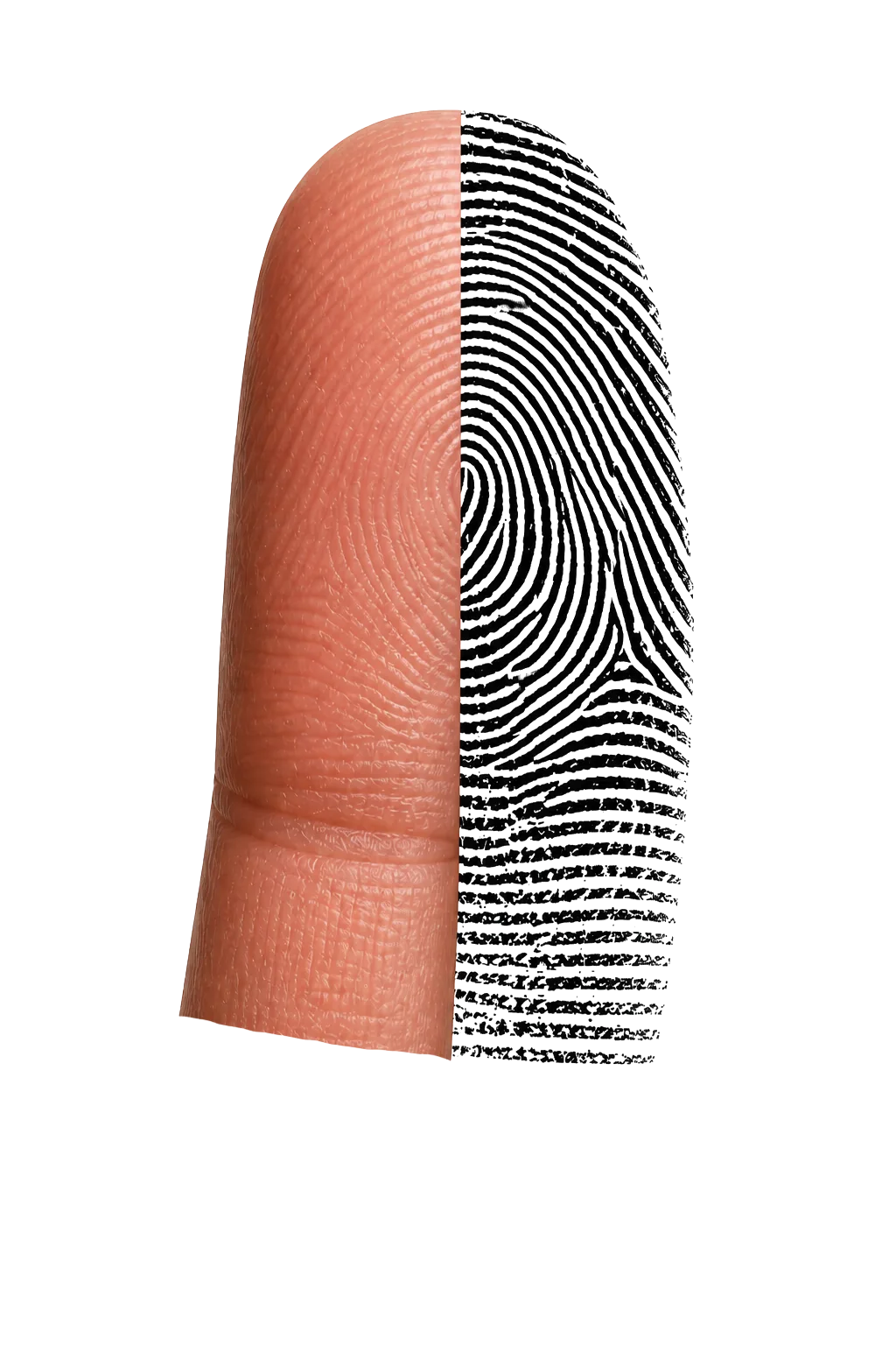 Fingerabdruck auf Papier - Symbol für digitale Erfassung